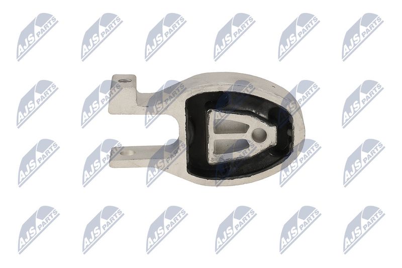 Paigutus, Mootor, NTY ZPS-FR-037