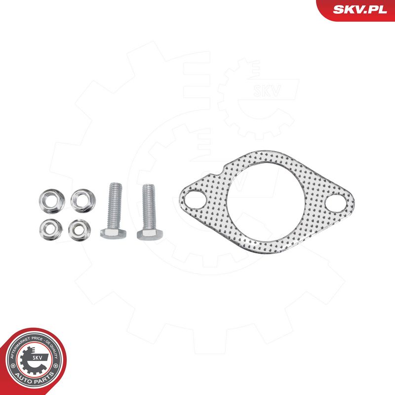 Katalüsaator, ESEN SKV 62SKV174