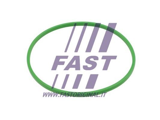 FT48503_1_1.JPG