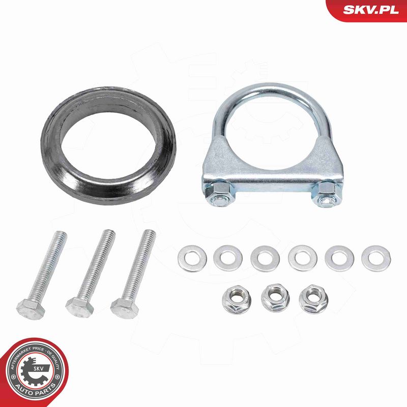 ESEN SKV 62SKV154 Catalytic Converter
