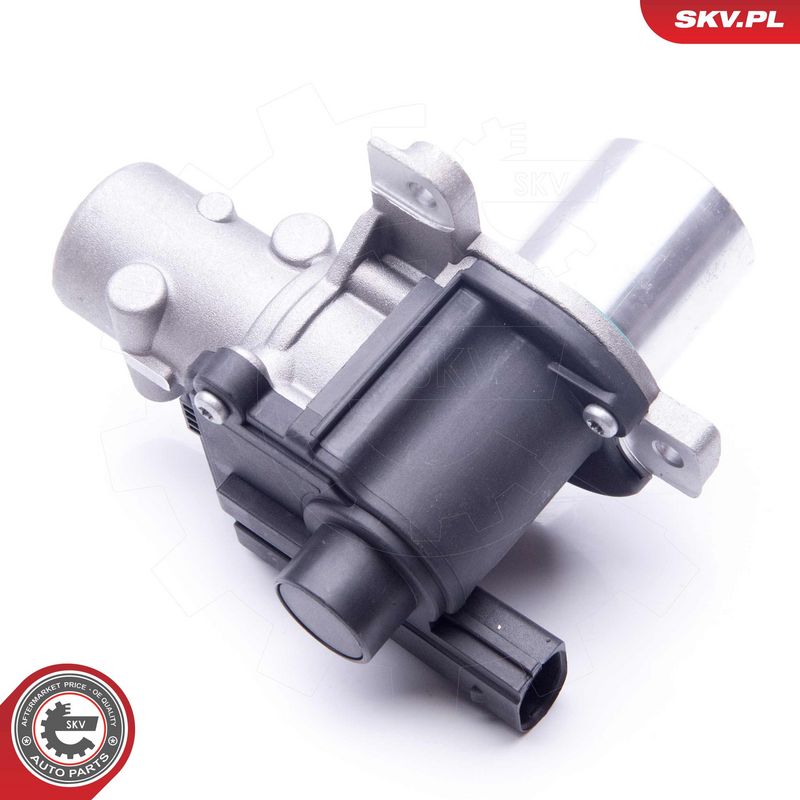 EGR-klapp, ESEN SKV 14SKV163