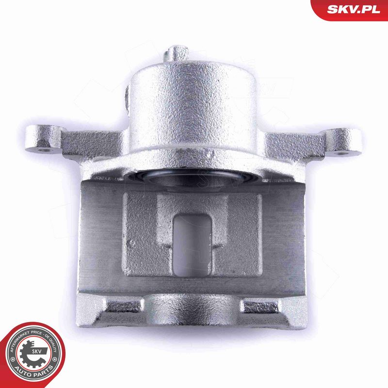 ESEN SKV 55SKV111 Brake Caliper
