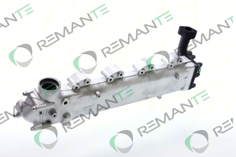 REMANTE 010-001-000004R EGR Module