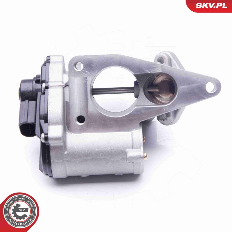 ESEN SKV 14SKV168 EGR Valve