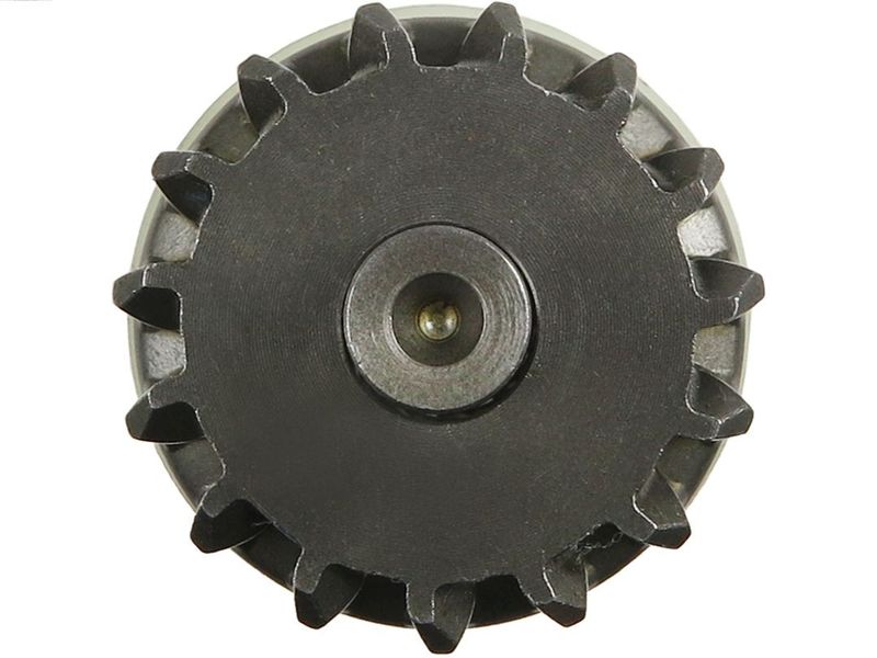 248485.JPG