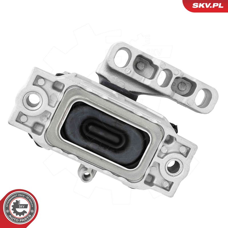 Paigutus, Mootor, ESEN SKV 75SKV324