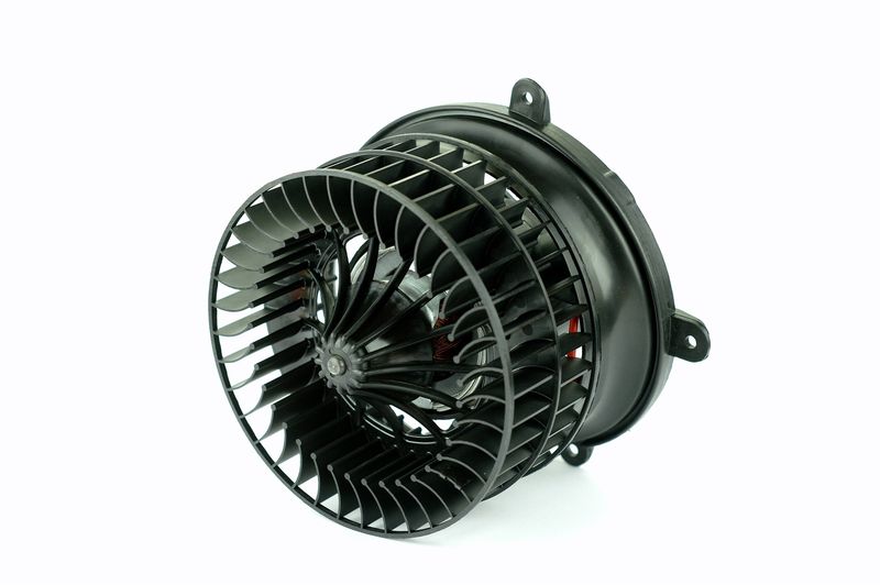 Salongipuhur, NISSENS 87152