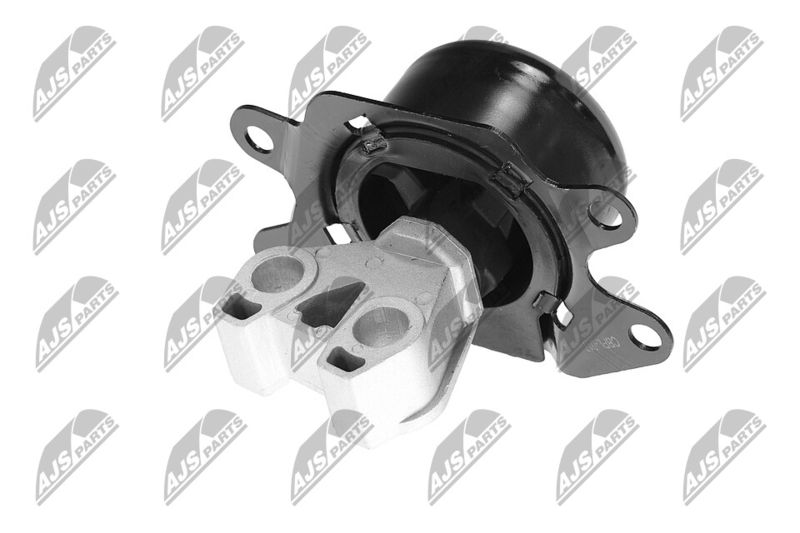 Paigutus, Mootor, NTY ZPS-PL-053