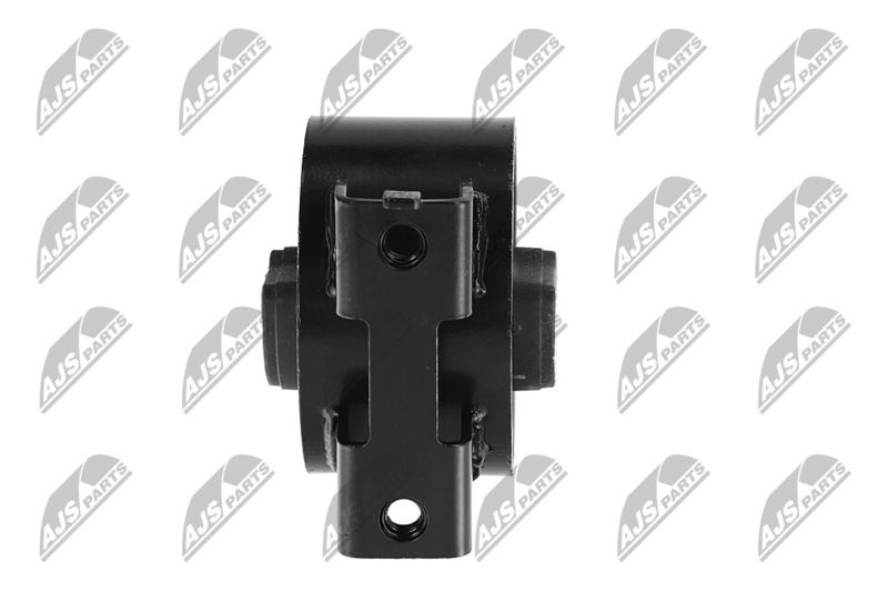 Paigutus, Mootor, NTY ZPS-CH-054