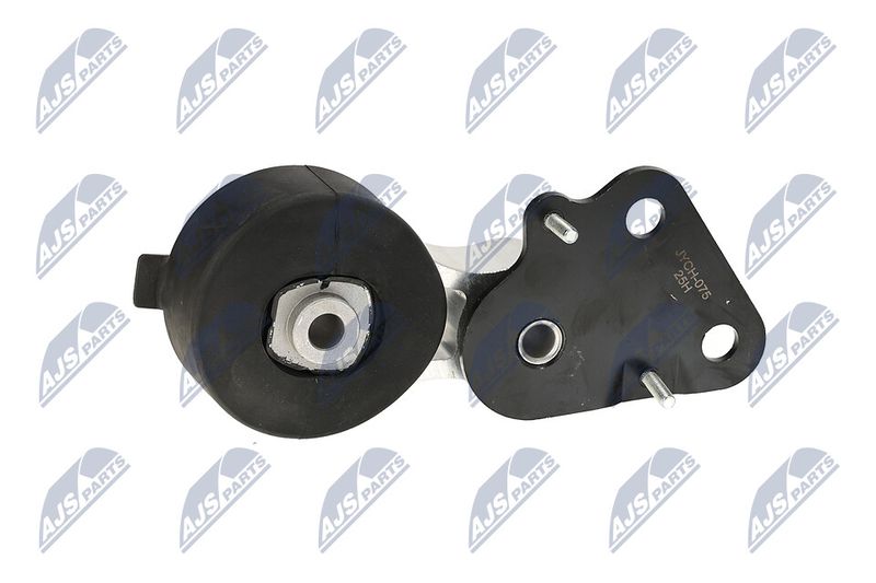 Paigutus, Mootor, NTY ZPS-CH-075