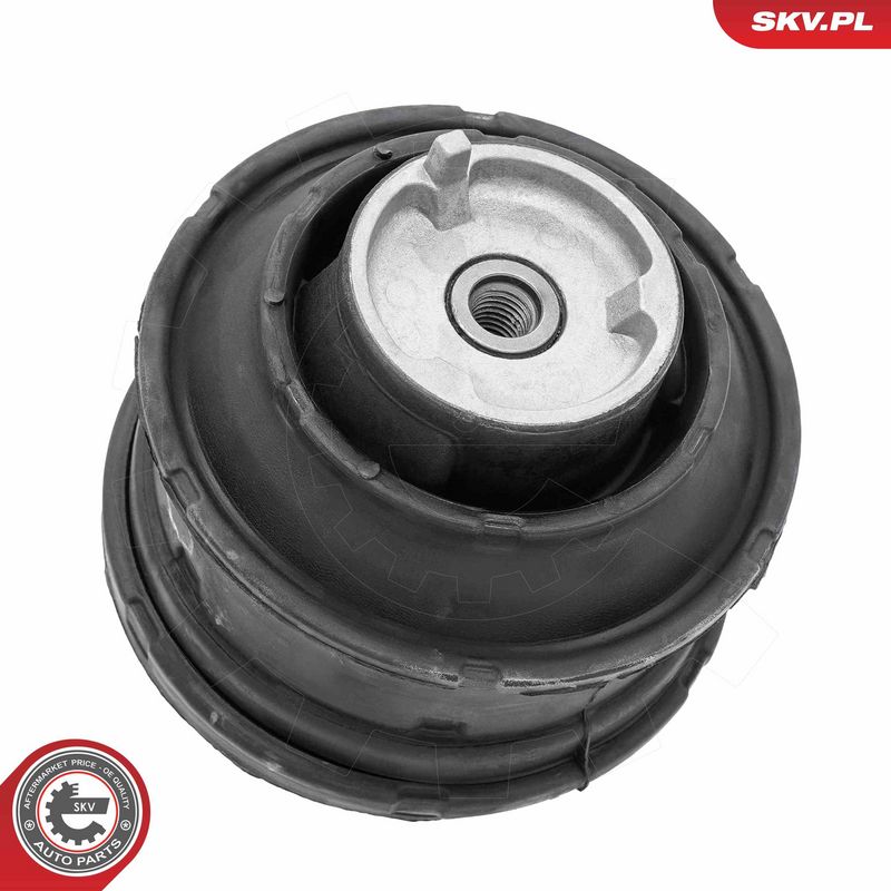 Paigutus, Mootor, ESEN SKV 75SKV146