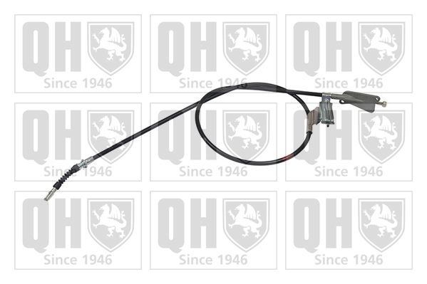 QH_BC3805.JPG