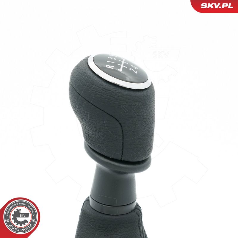 Käigukanginupp, ESEN SKV 63SKV497