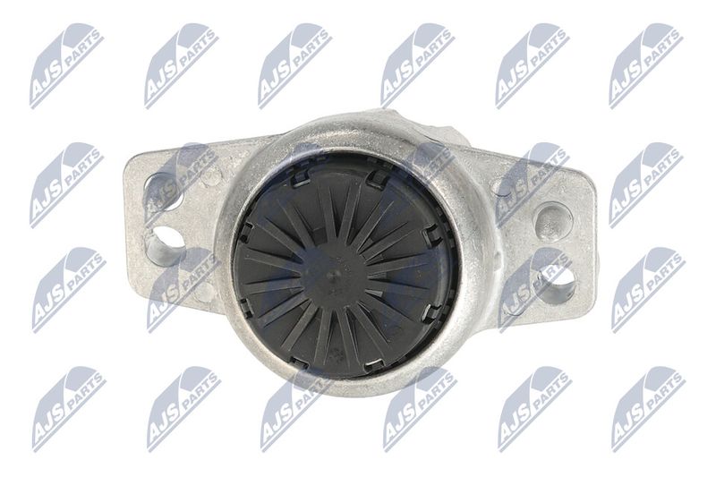 Paigutus, Mootor, NTY ZPS-LR-015