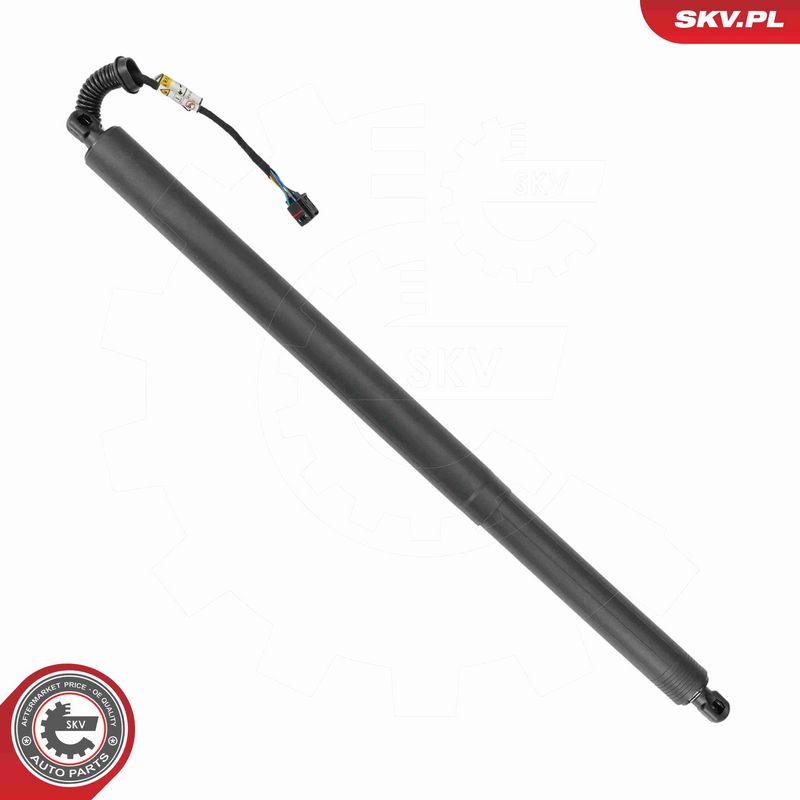 ESEN SKV 52SKV887 Electric Motor, tailgate