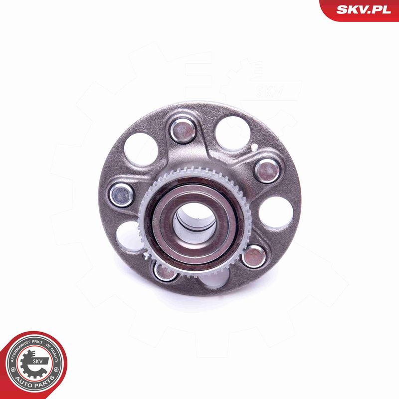 ESEN SKV 29SKV200 Wheel Bearing Kit