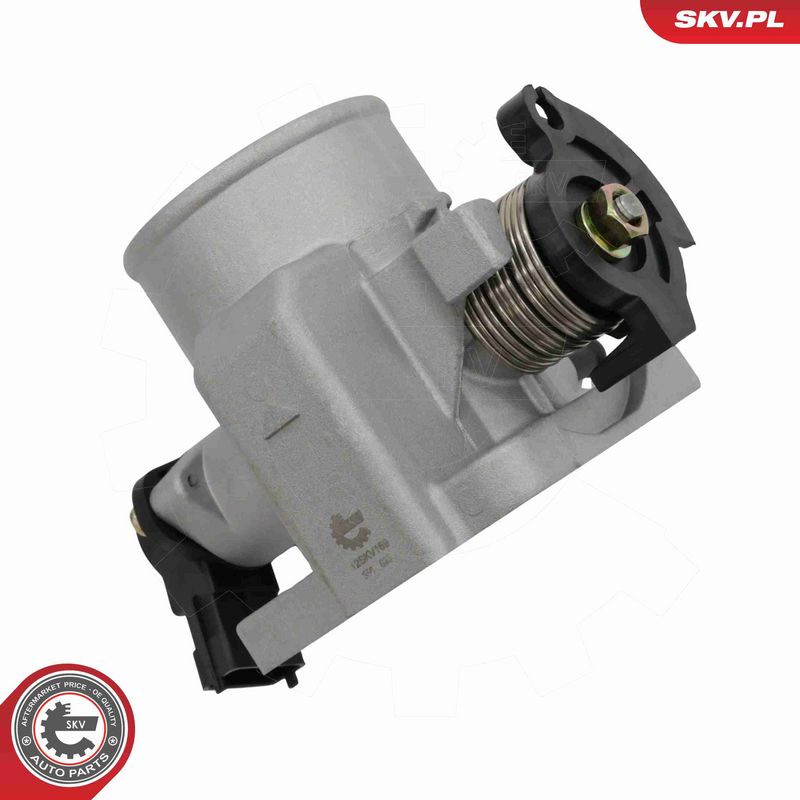 ESEN SKV 12SKV169 Throttle Body
