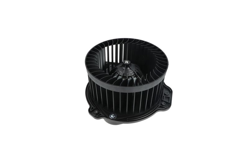 Salongipuhur, NRF 34136