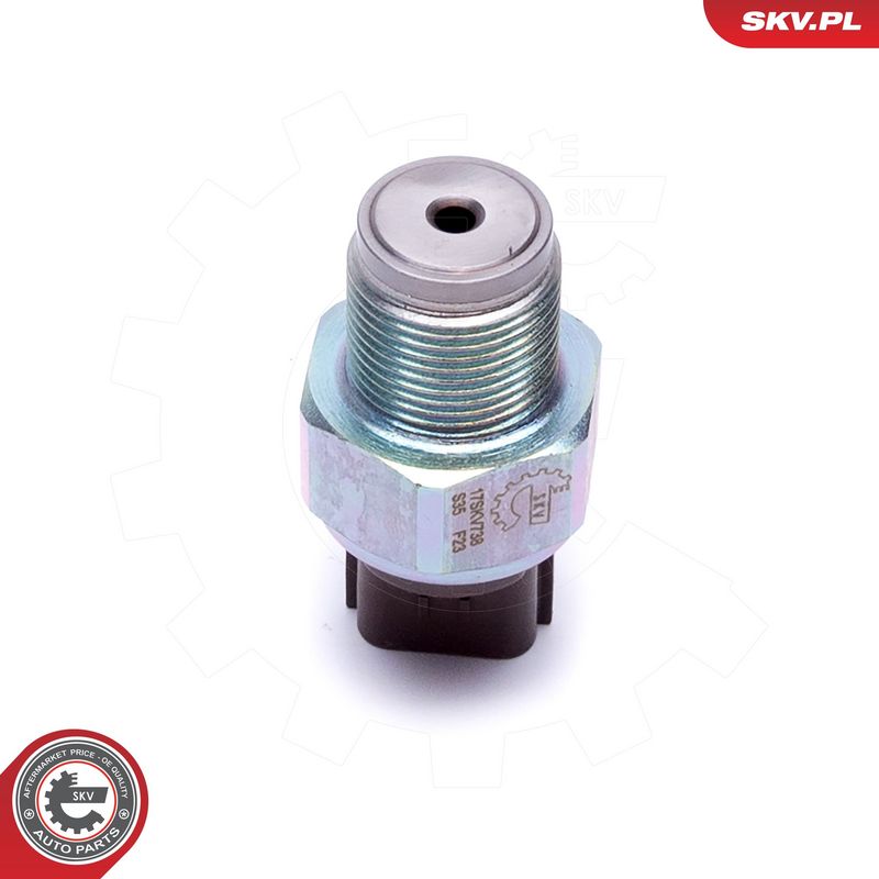 Andur, kütuserõhk, ESEN SKV 17SKV738