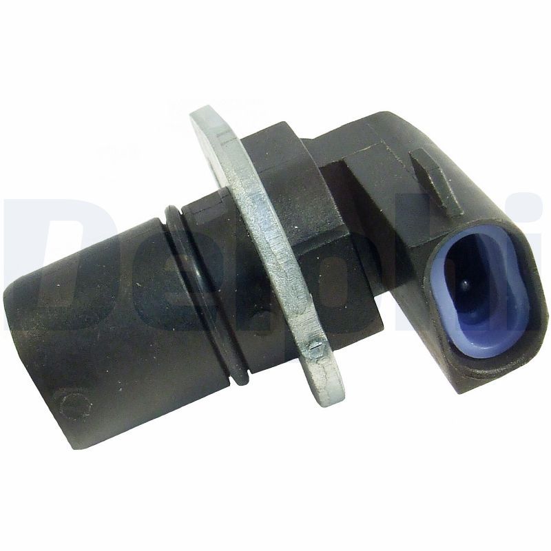 SS10260.JPG