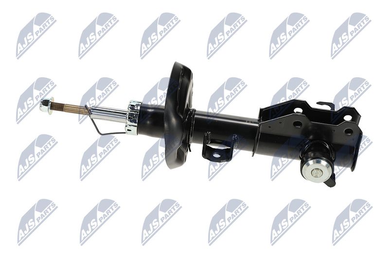 Amort, NTY A-PL-062