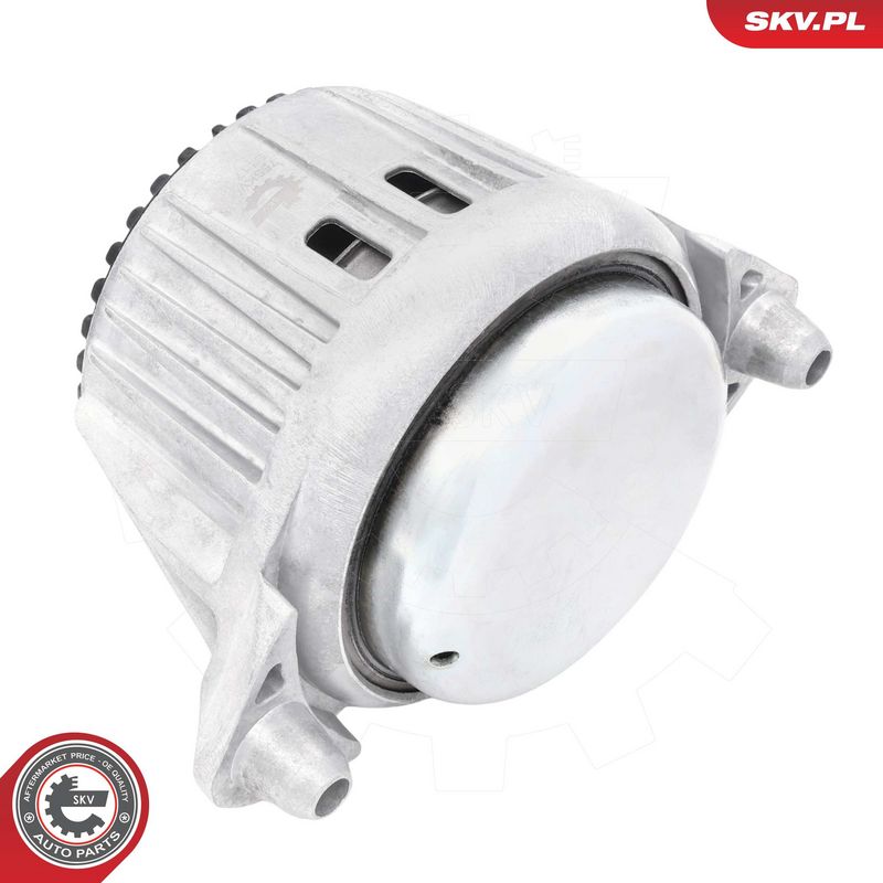 Paigutus, Mootor, ESEN SKV 75SKV066