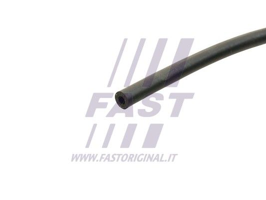 FT61561_2_1.JPG