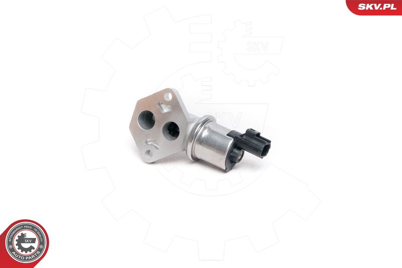 ESEN SKV 08SKV217 Idle Control Valve, air supply