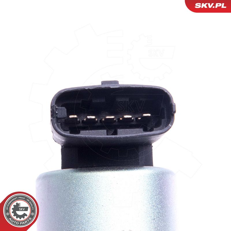EGR-klapp, ESEN SKV 14SKV207