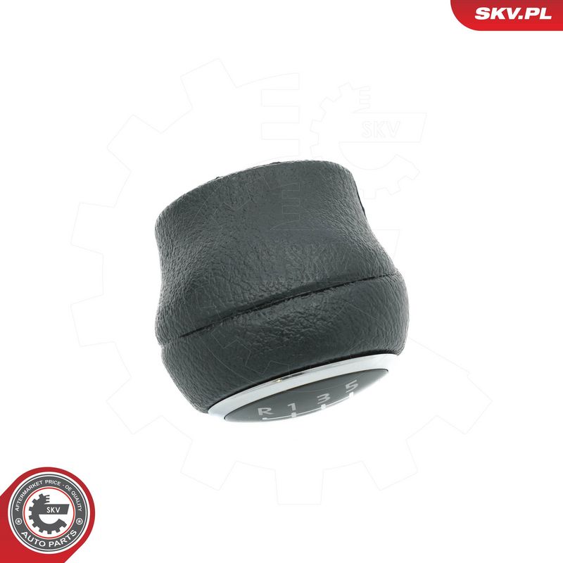 Käigukanginupp, ESEN SKV 63SKV486