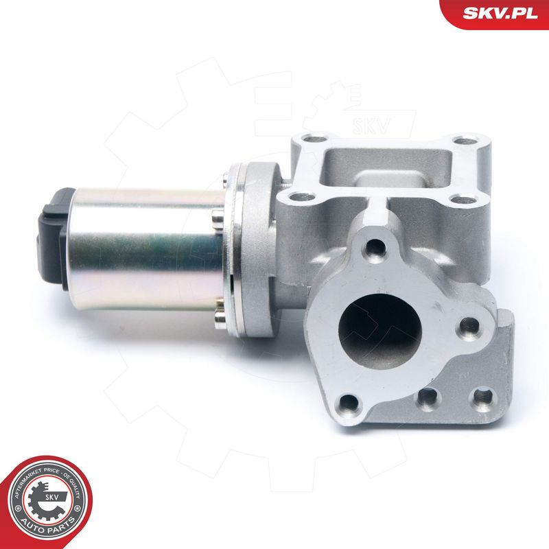 EGR-klapp, ESEN SKV 14SKV099