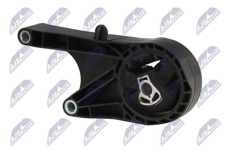 Paigutus, Mootor, NTY ZPS-PL-058