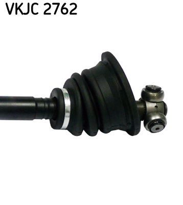 VKJC 2762_3.JPG