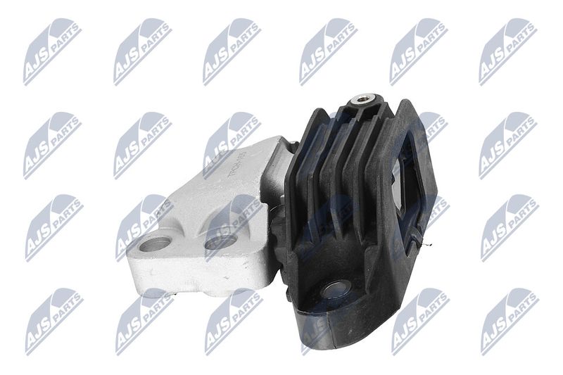 Paigutus, Mootor, NTY ZPS-CH-165