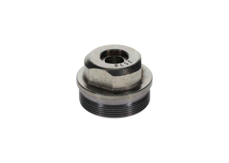 Surub F 002 D13 576 BOSCH