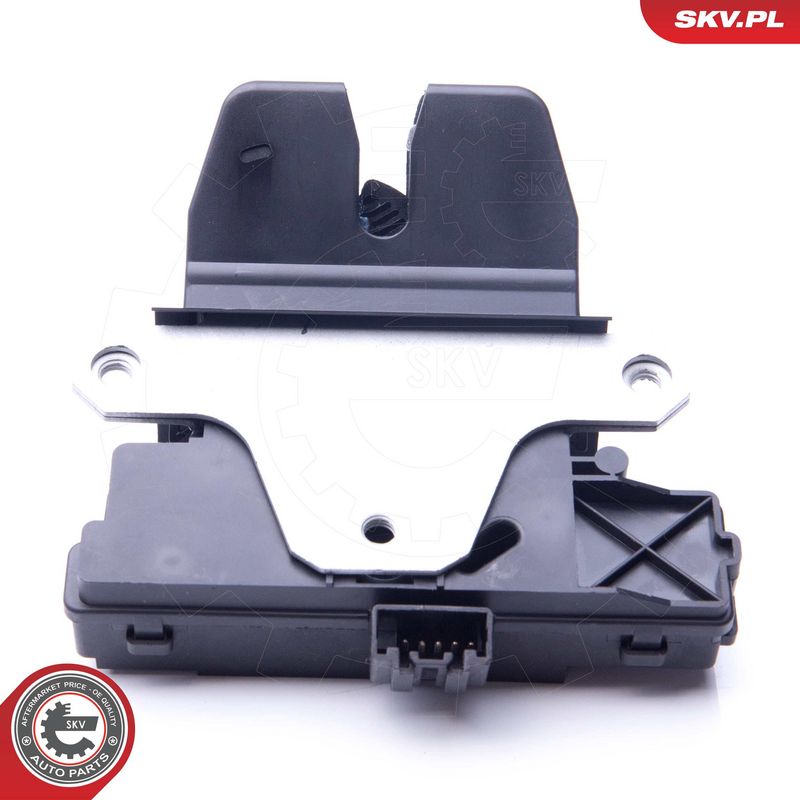 Tagaluugi sulgur, ESEN SKV...