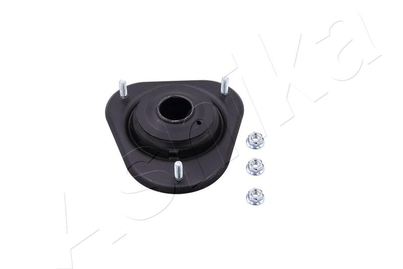 SMA0221_1.JPG