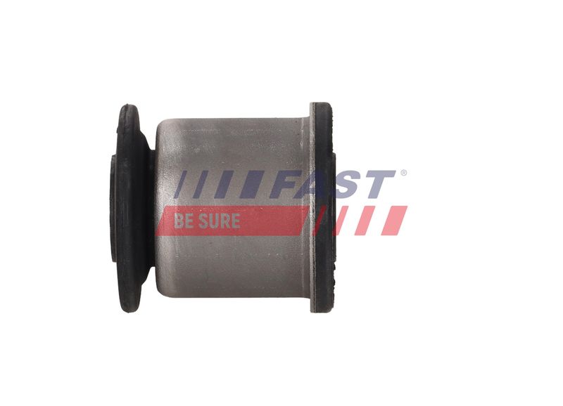 Puks, FAST FT10169