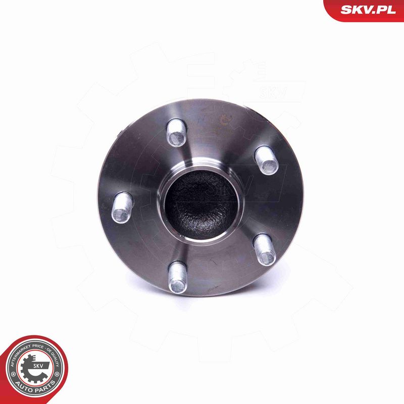 ESEN SKV 29SKV333 Wheel Bearing Kit
