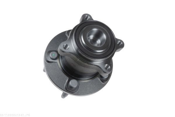 AUTOMEGA 110000510 Wheel Bearing Kit