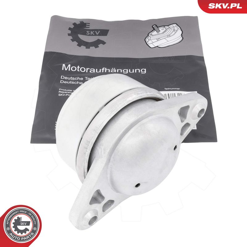 Paigutus, Mootor, ESEN SKV...