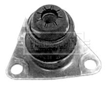 BEM3045_209904.JPG