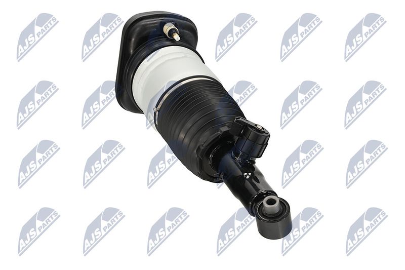 Amort, NTY A-BM-101