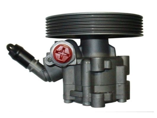 SPIDAN 54420 Hydraulic Pump, steering