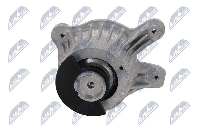 Paigutus, Mootor, NTY ZPS-ME-028