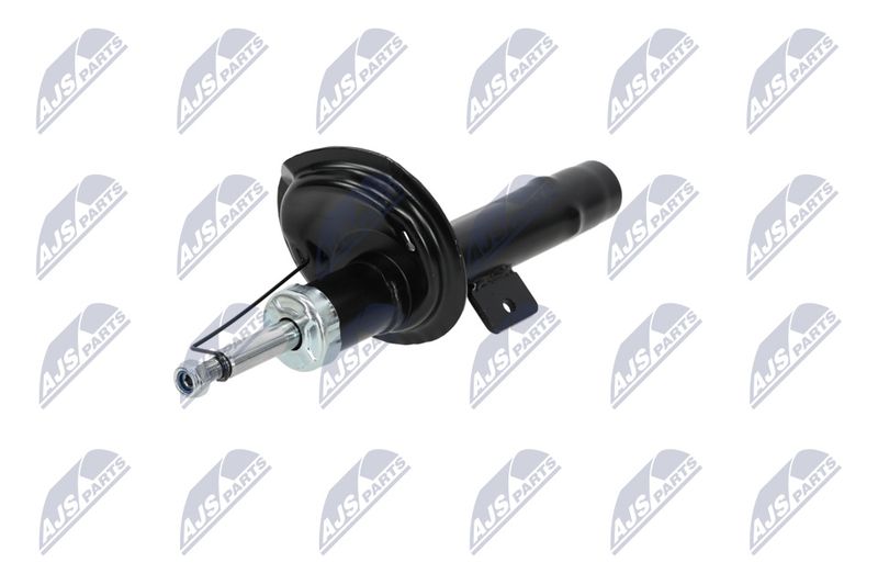 Amort, NTY A-CT-020