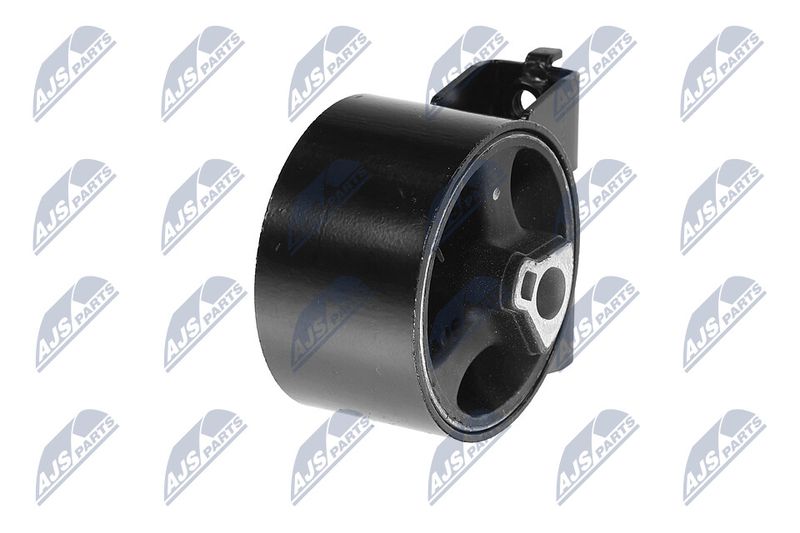 Paigutus, Mootor, NTY ZPS-CH-054