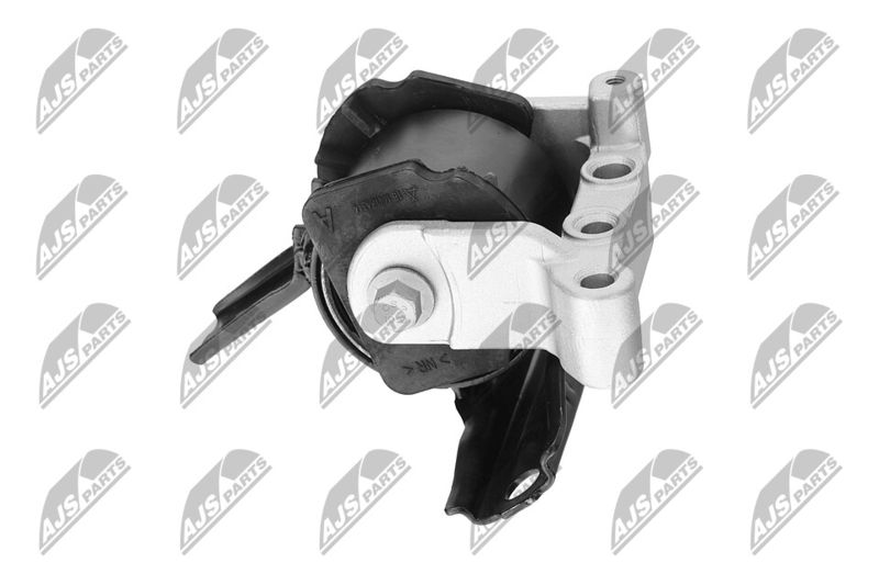 Paigutus, Mootor, NTY ZPS-CH-071