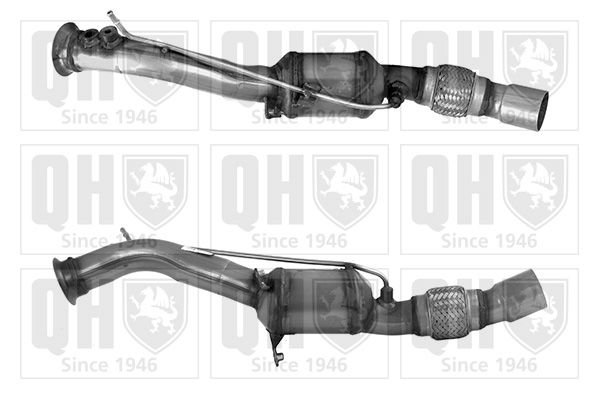QH_QCAT80546H.JPG