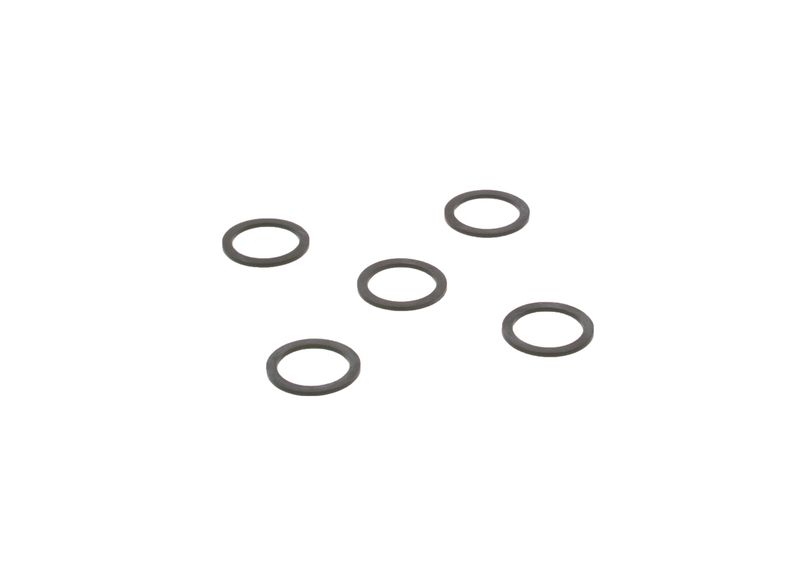Garnitura 2 440 109 005 BOSCH